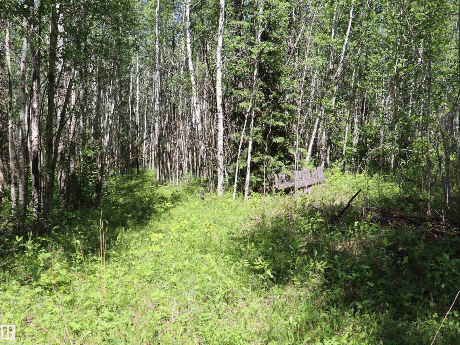 56431 RR 25 — photo 38