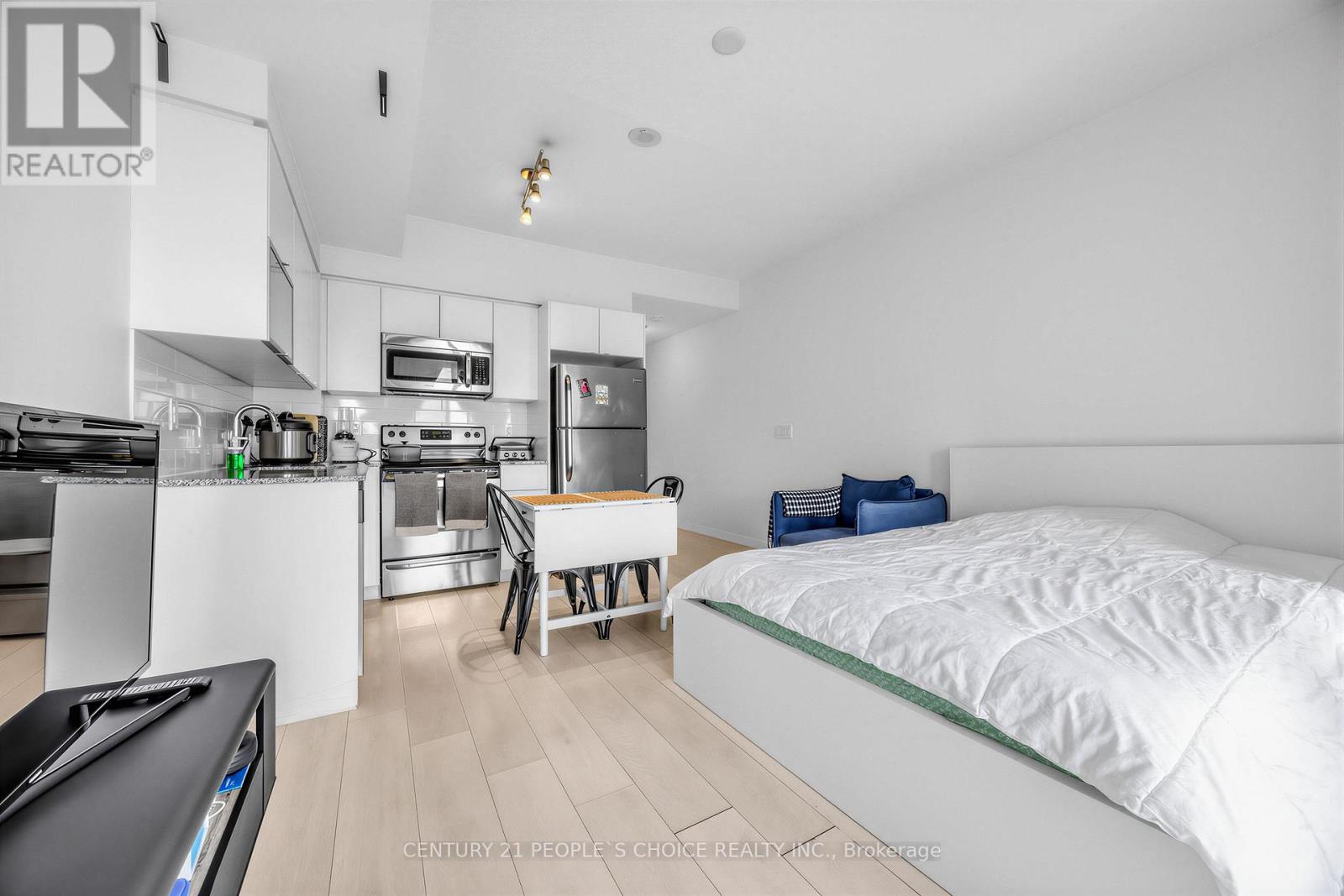 #1508 150 EAST LIBERTY STREET - 19
