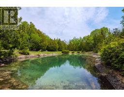 28 Elgin Street, Northern Bruce Peninsula, ON N0H2R0 Photo 44