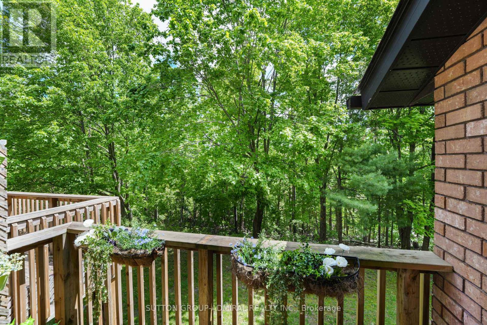 Ravine View from Upper Deck