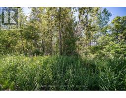 Part Lot 21 Concession 2 3 Road, North Stormont, ON K0C1C0 Photo 8