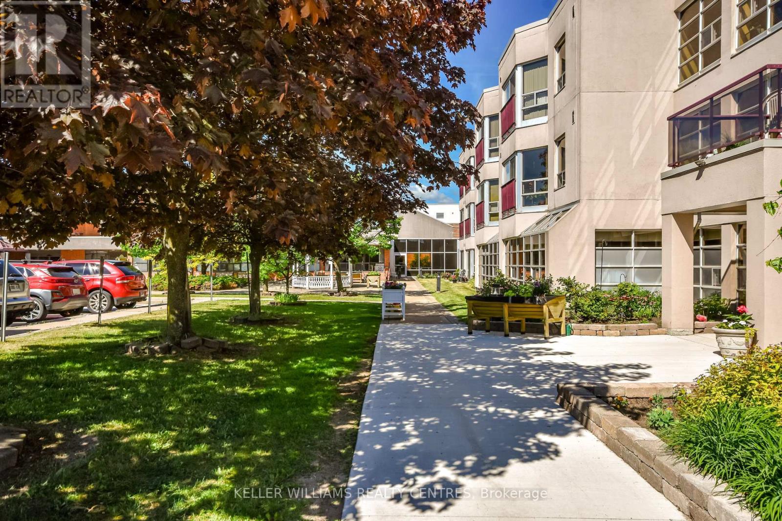 #101 49 RAGLAN STREET - 37