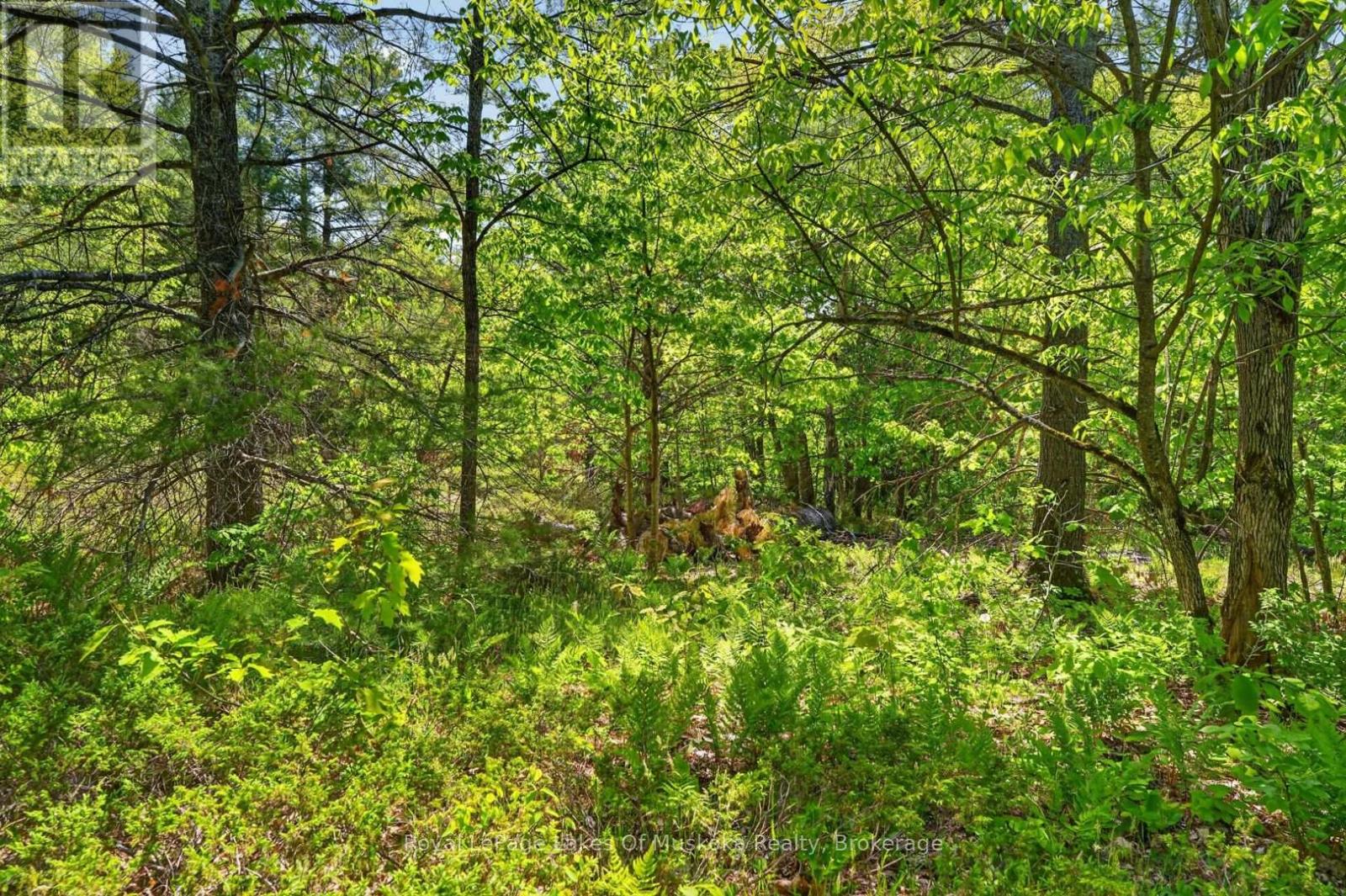 1018 SNIDERS BAY ROAD - 36