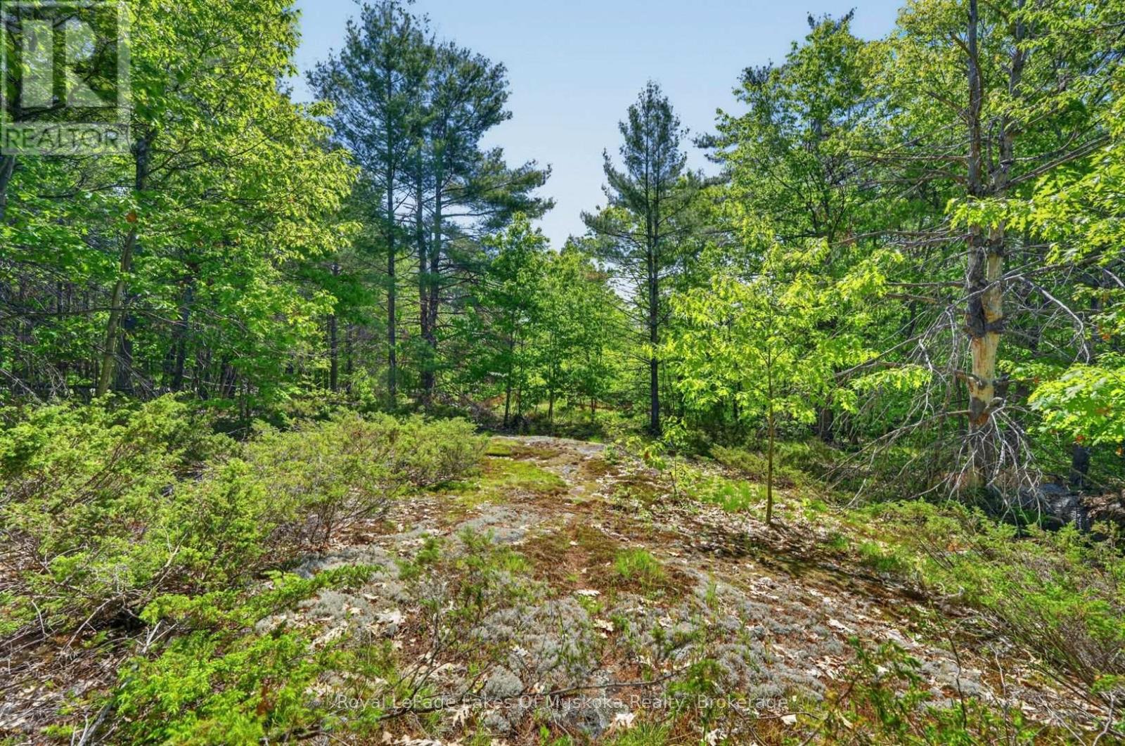 1018 SNIDERS BAY ROAD - 37