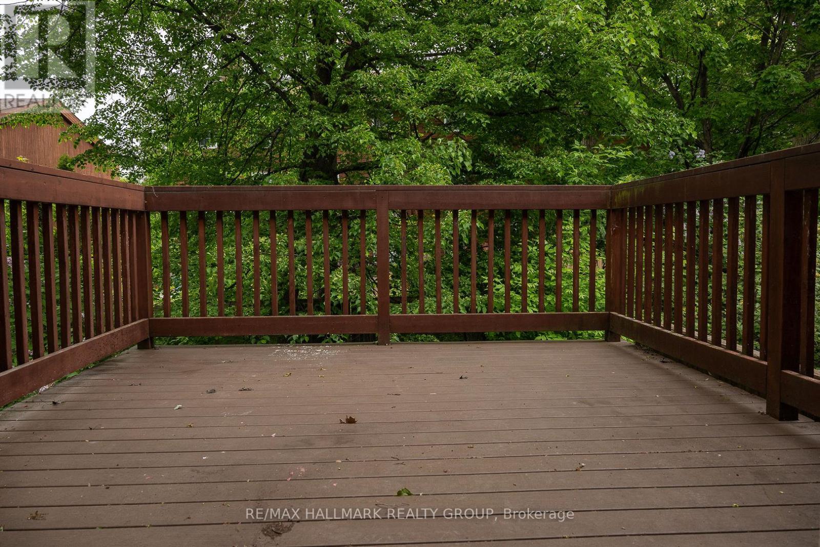 15 BIRCHDALE AVENUE - 4