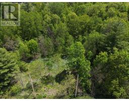Lot 1 Mutual Avenue, Renfrew, ON K7V3R4 Photo 14