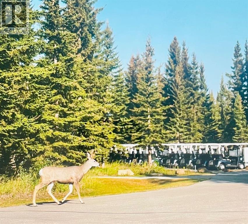32351 Range Road 55 — photo 17