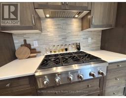 Rl5 - 53 Arthur Street S, Guelph, ON N1E0P5 Photo 8