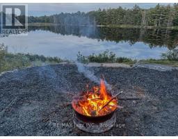 1314 Shebeshekong Road, Carling, ON P0G1G0 Photo 47