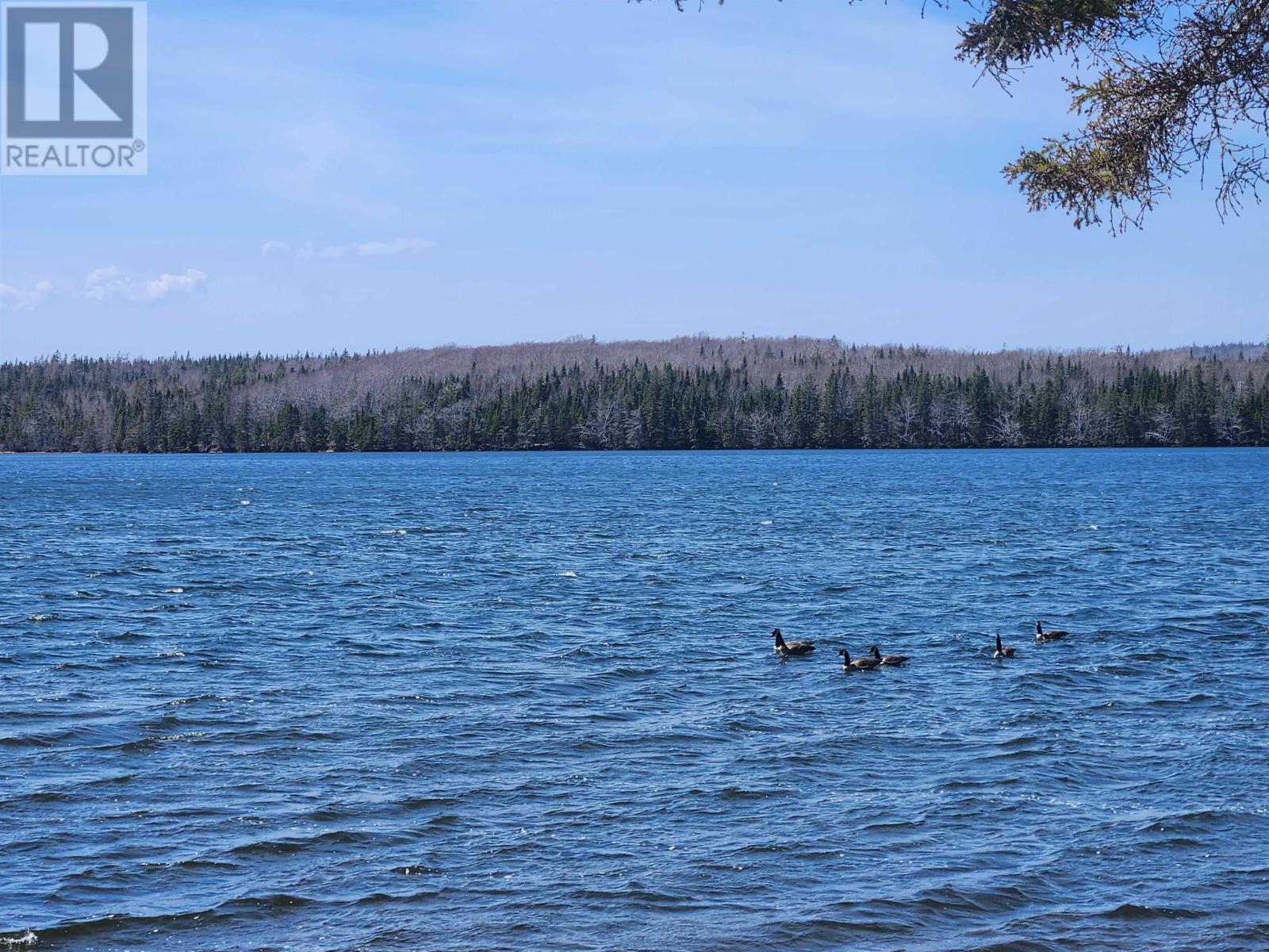 2280 Loch Lomond Road - 26