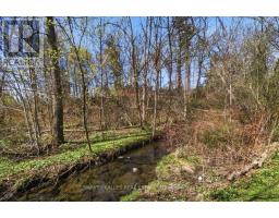 72 Walmer Road, Richmond Hill, ON L4C3X1 Photo 44
