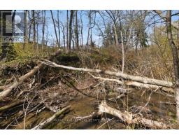72 Walmer Road, Richmond Hill, ON L4C3X1 Photo 45