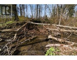 72 Walmer Road, Richmond Hill, ON L4C3X1 Photo 46