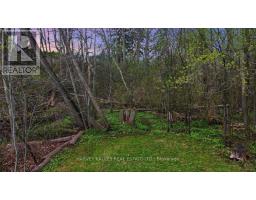 72 Walmer Road, Richmond Hill, ON L4C3X1 Photo 49