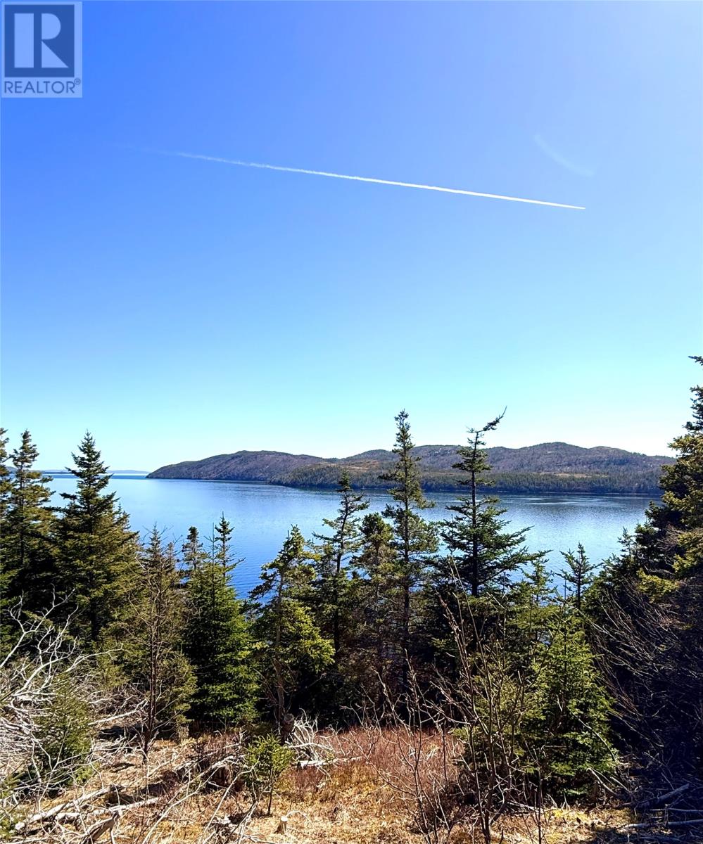 372 Main Road - 16