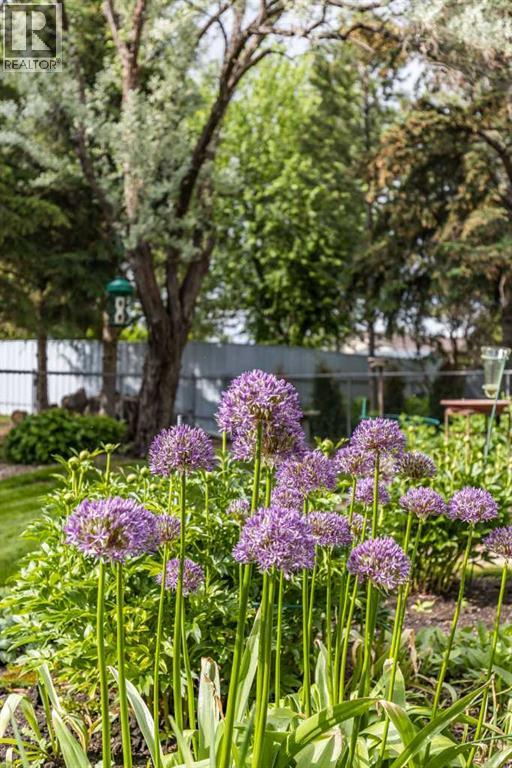 6 Pine Court NE — photo 49