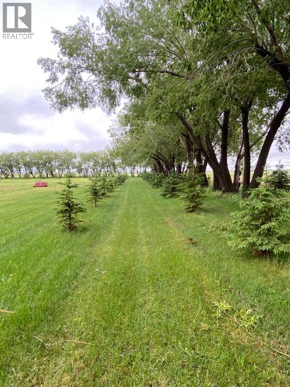 Mature and managed shelter belt