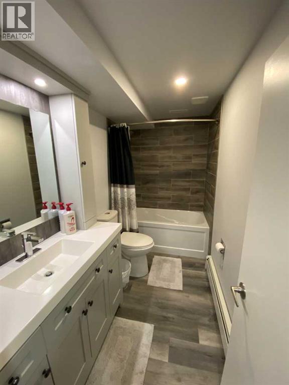 Lower level guest bath