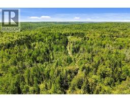 Lot Route 620, Tay Creek, NB O0O0O0 Photo 14