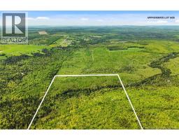 Lot Route 620, Tay Creek, NB O0O0O0 Photo 6