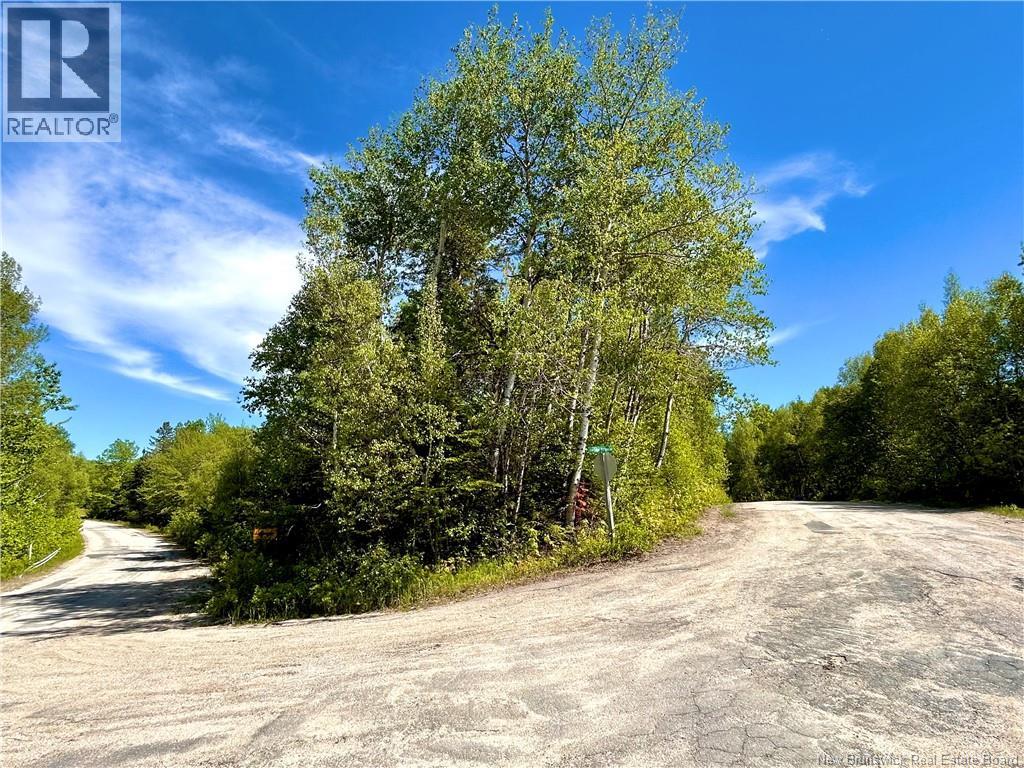 2.87 Acres Portage River Road