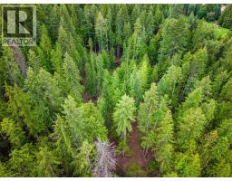7346 Harrop Procter Road, Procter, BC V1L6R4 Photo 62