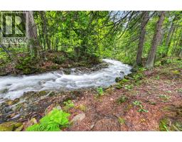 7346 Harrop Procter Road, Procter, BC V1L6R4 Photo 88