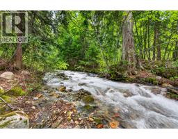 7346 Harrop Procter Road, Procter, BC V1L6R4 Photo 89