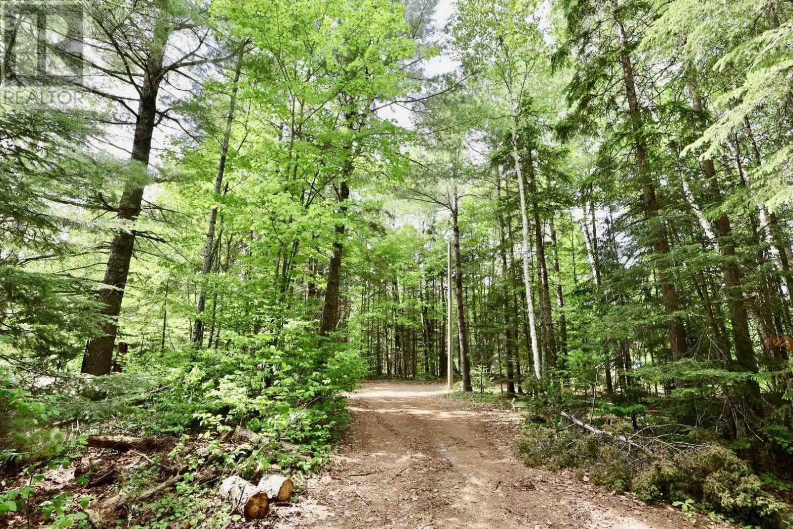 Ellis RD - Image 18