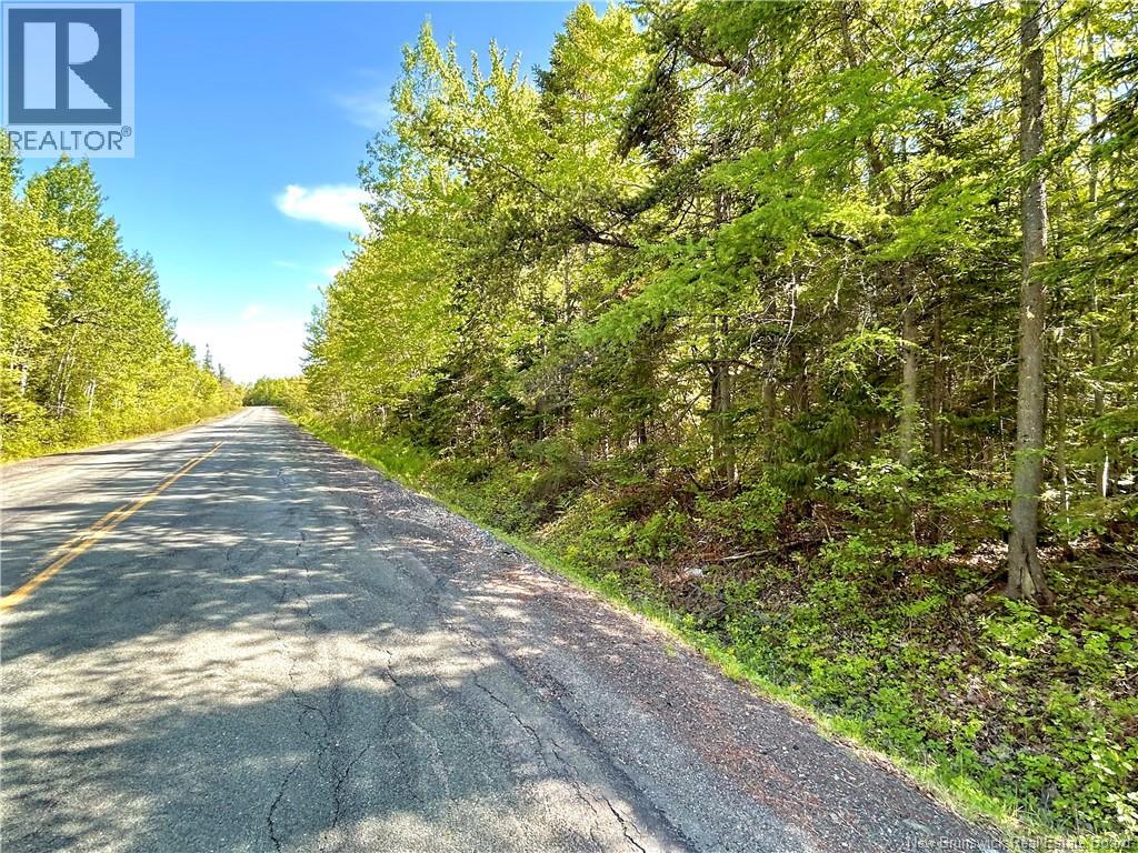 53.1 Acres Route 117, Napan — photo 2