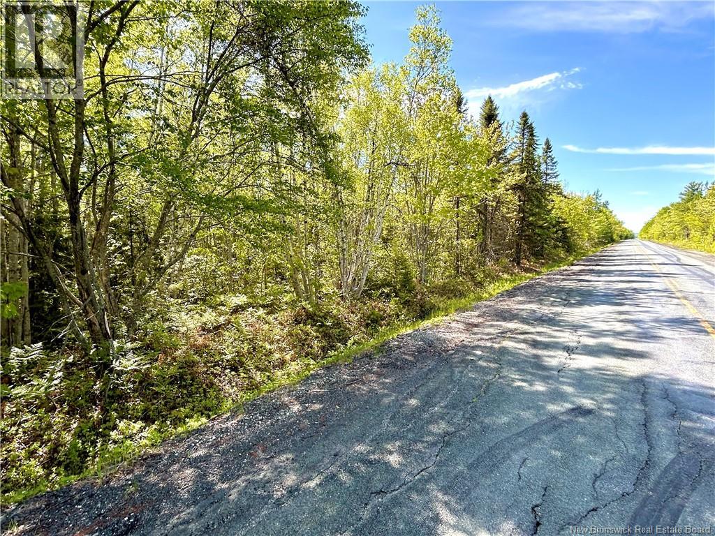 53.1 Acres Route 117, Napan — photo 3
