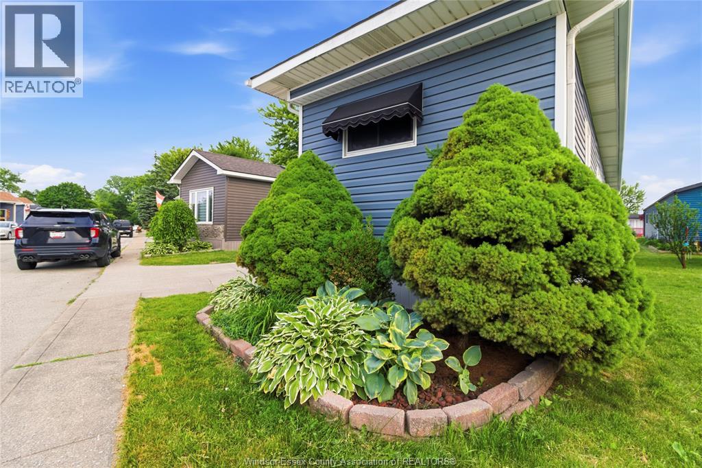 59 WILDER North - 28