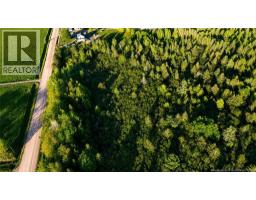 Lot Baseline Road, Cornhill, NB E4Z1J4 Photo 10