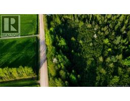Lot Baseline Road, Cornhill, NB E4Z1J4 Photo 11