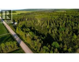 Lot Baseline Road, Cornhill, NB E4Z1J4 Photo 12