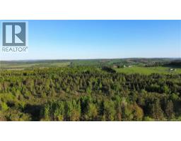 Lot Baseline Road, Cornhill, NB E4Z1J4 Photo 18