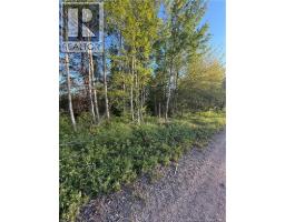 Lot Baseline Road, Cornhill, NB E4Z1J4 Photo 36