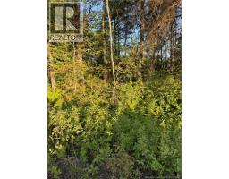Lot Baseline Road, Cornhill, NB E4Z1J4 Photo 38