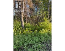 Lot Baseline Road, Cornhill, NB E4Z1J4 Photo 39
