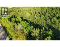 Lot Baseline Road, Cornhill, NB E4Z1J4 Photo 7