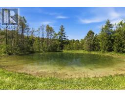 401479 Grey Rd 4, West Grey, ON N4N3B8 Photo 26