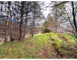 Lot 5, Lakeside Road, Dayton, NS B5A5K3 Photo 6
