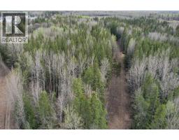 Storage - 322 4 Street, Rural Woodlands County, AB T0E0B0 Photo 19