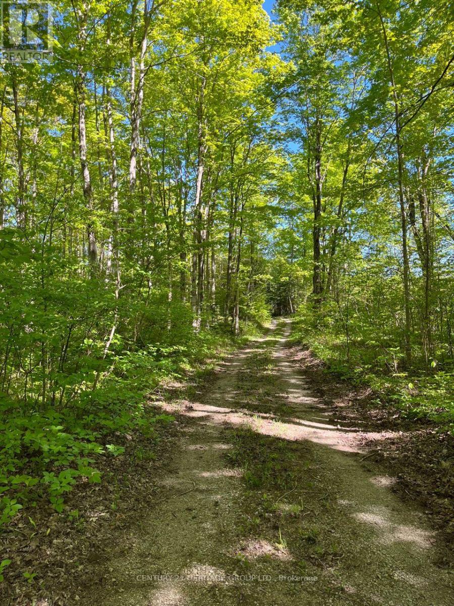 580223 SIDEROAD 60, Chatsworth — photo 3