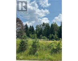 2 Thomas Street, Kawartha Lakes, ON L0A1K0 Photo 7