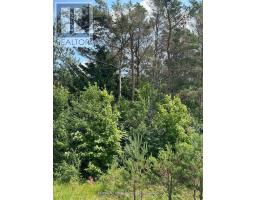 2 Thomas Street, Kawartha Lakes, ON L0A1K0 Photo 6