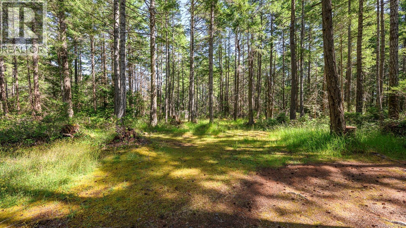 6535 St Johns Point Rd - 19