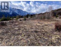 247 Fullmoon Road, Rosebery, BC V0G1S1 Photo 34