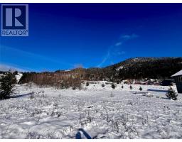 247 Fullmoon Road, Rosebery, BC V0G1S1 Photo 6