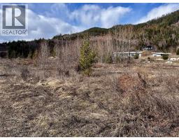 247 Fullmoon Road, Rosebery, BC V0G1S1 Photo 28